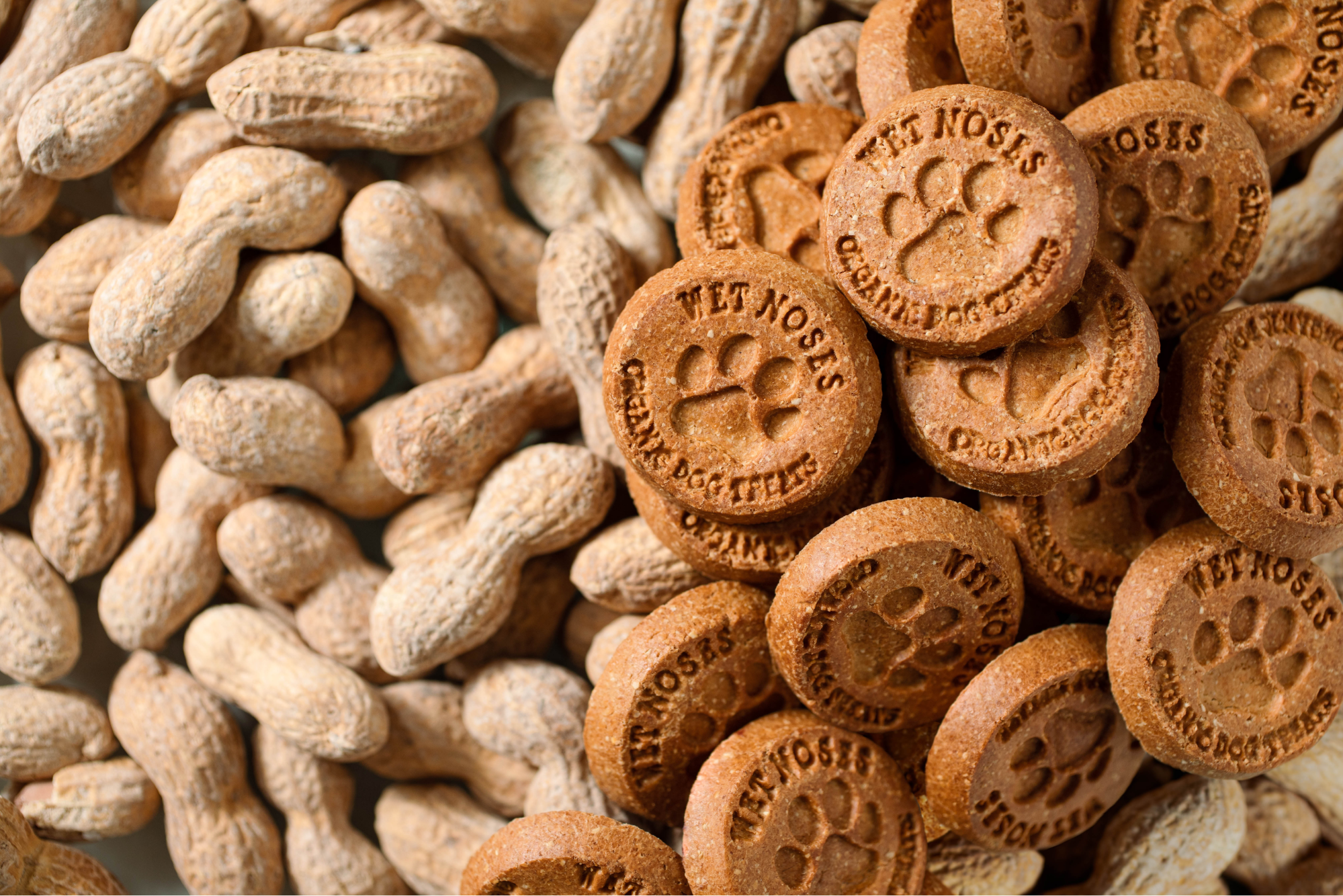 Wet noses peanut butter dog deals treats