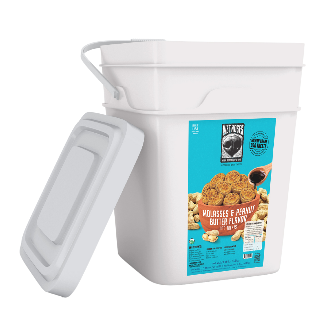 Peanut Butter Molasses Bulk Bucket Treats 15lb Wet Noses