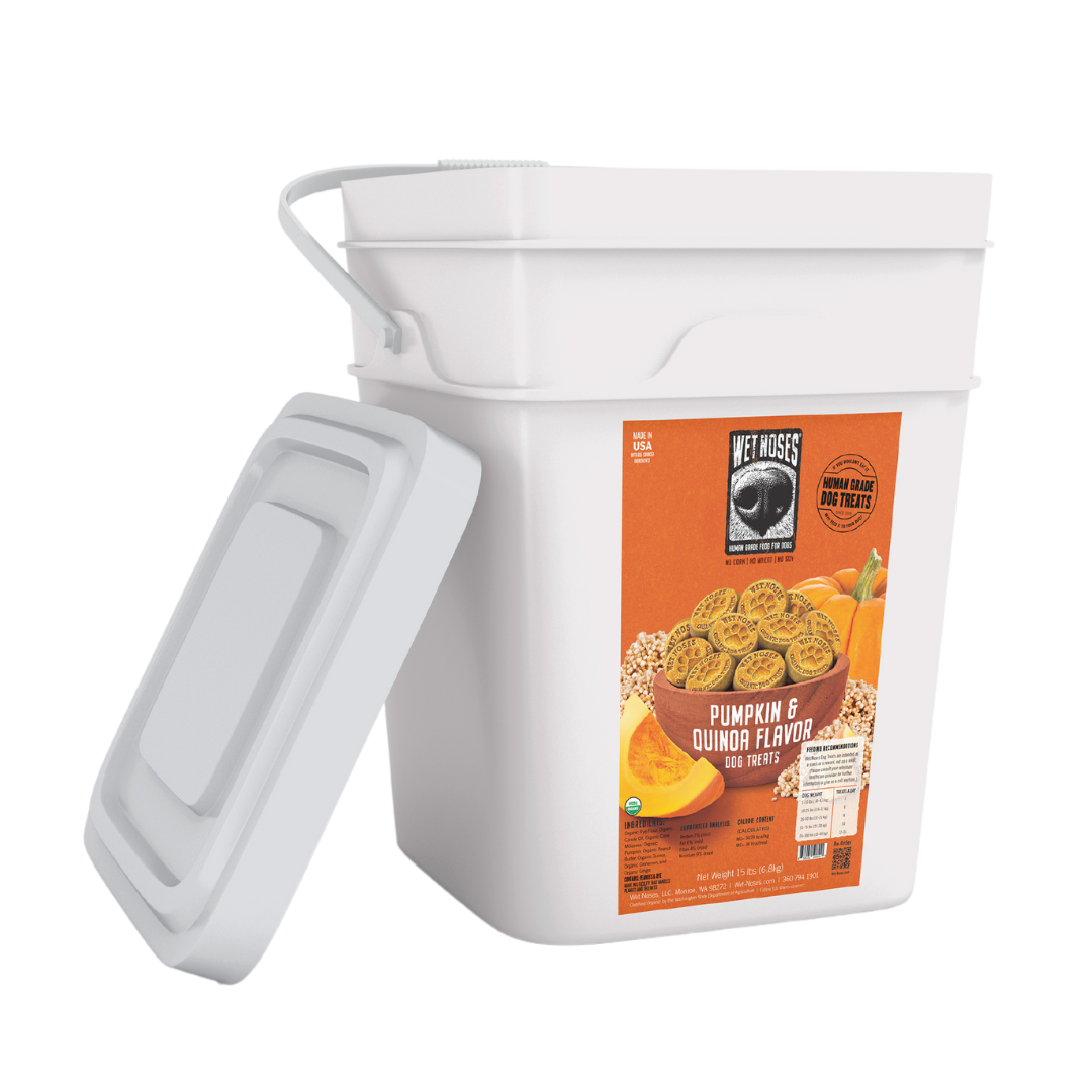 Pumpkin & Quinoa Bulk Bucket Treats 15lb – Wet Noses