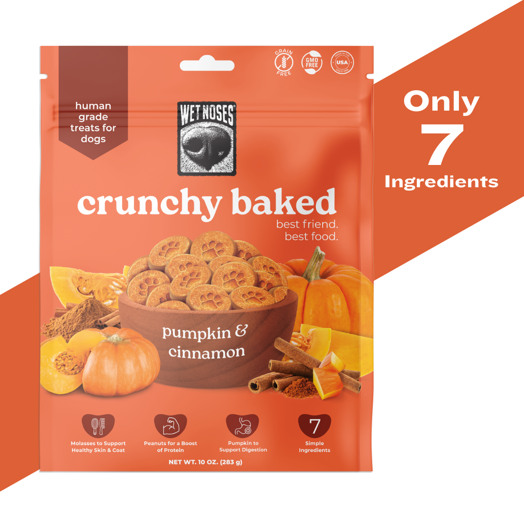 Pumpkin & Cinnamon Crunchy Baked Treats 10oz – Wet Noses