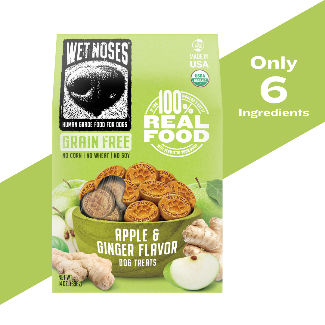 Apple & Ginger Grain Free Original Treats 14oz – Wet Noses