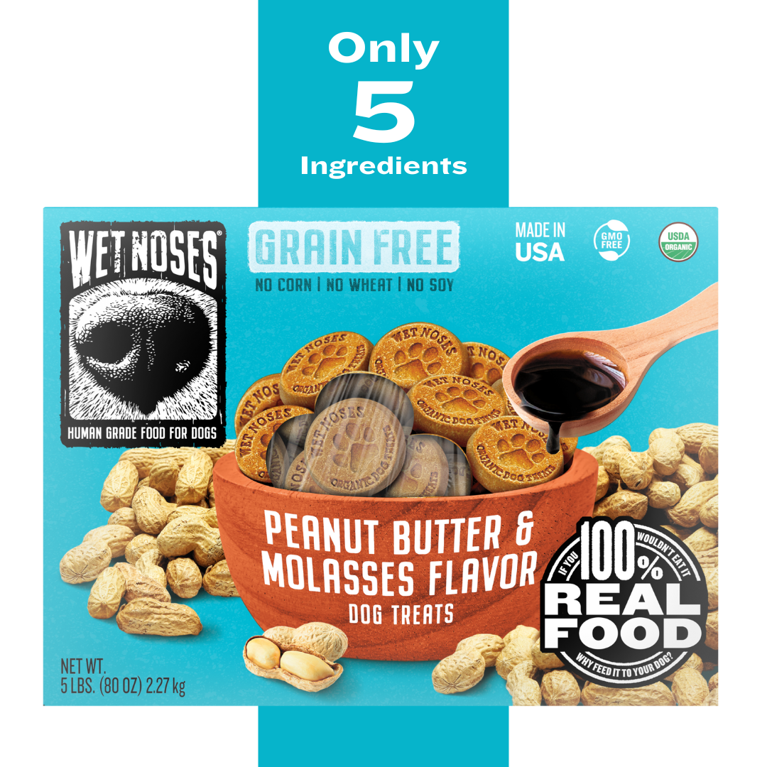 Peanut Butter Molasses Grain Free Box Treats 5lbs – Wet Noses