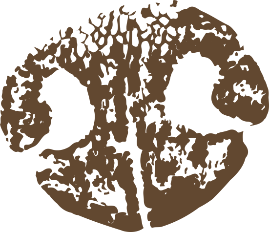 Wet noses dog 2024 food