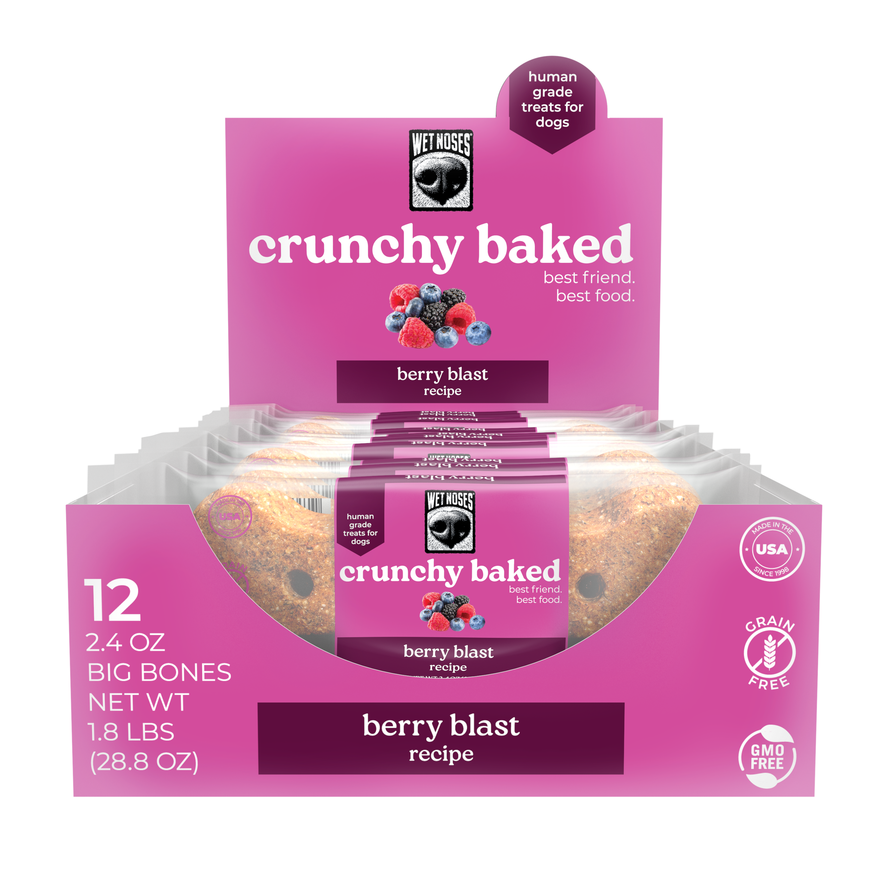 Berry Blast Grain Free Big Bone 2oz - 12 Pack – Wet Noses