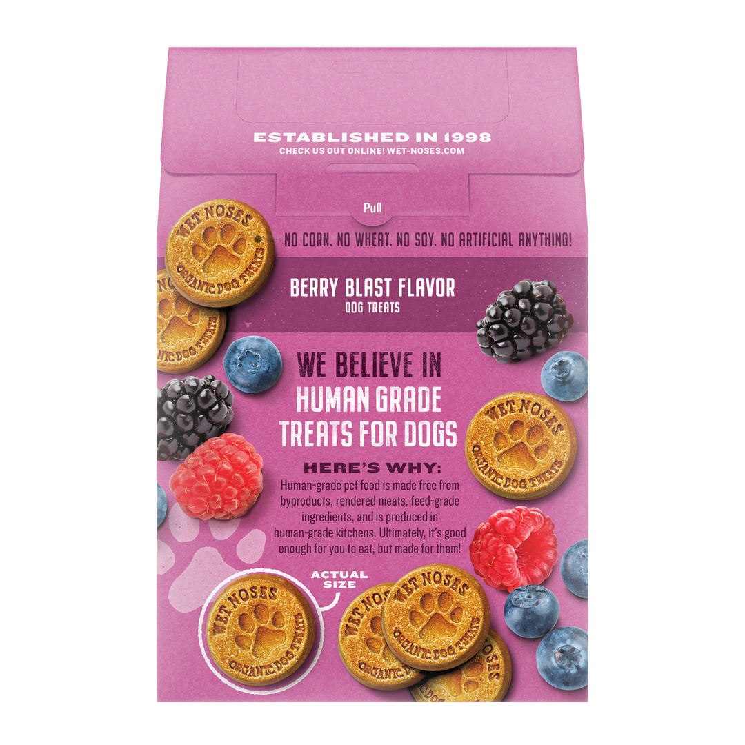 Berry Blast Grain Free Original Treats 14oz – Wet Noses