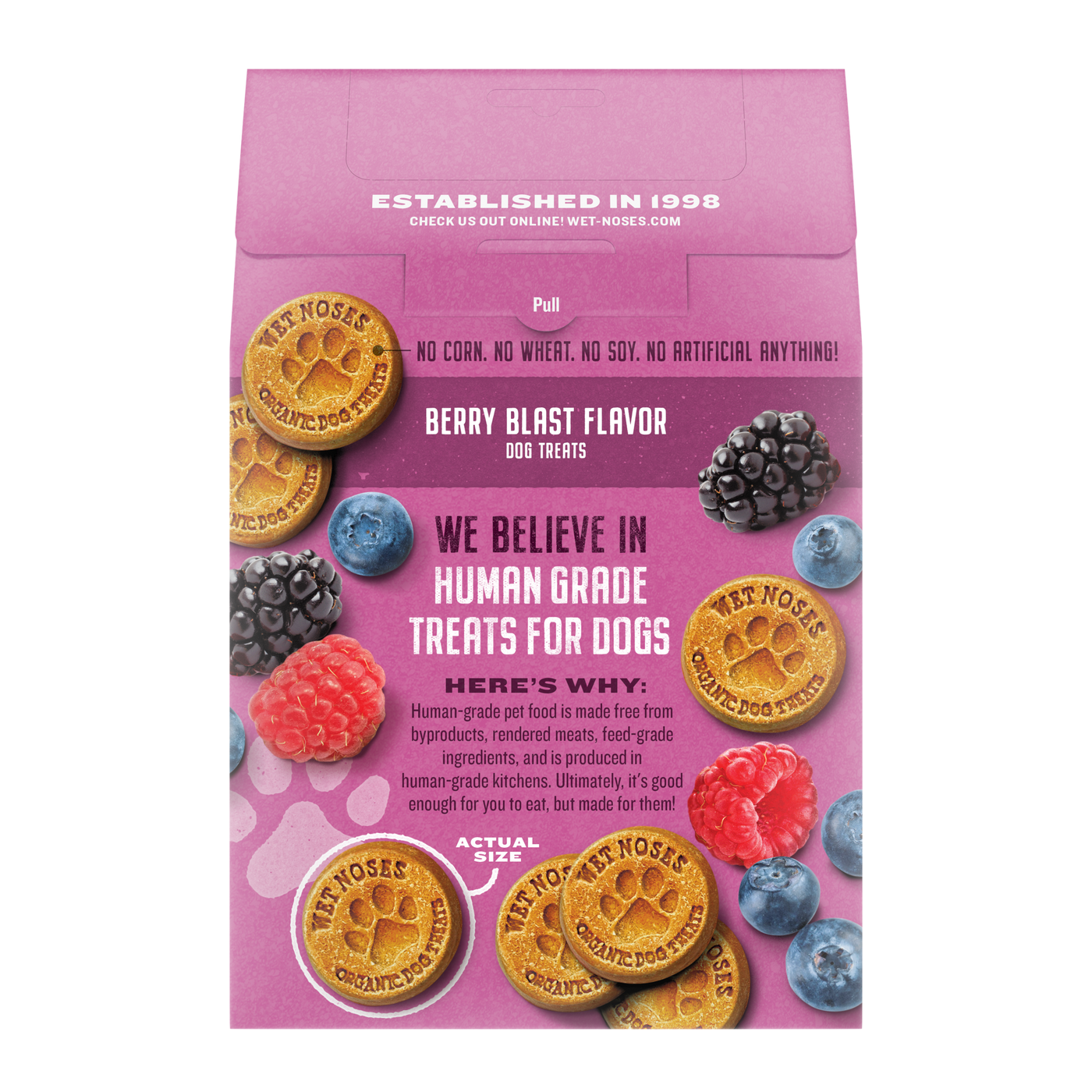 Berry Blast Grain Free Original Treats 14oz