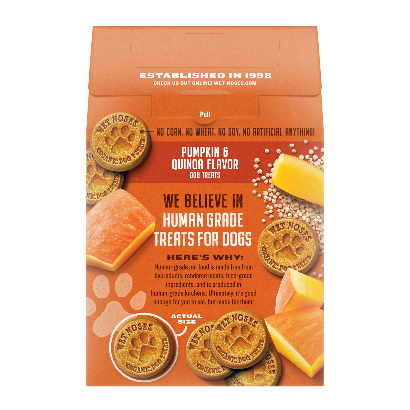 Pumpkin & Quinoa Grain Free Original Treats 14oz