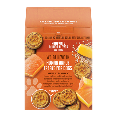 Pumpkin & Quinoa Grain Free Original Treats 14oz