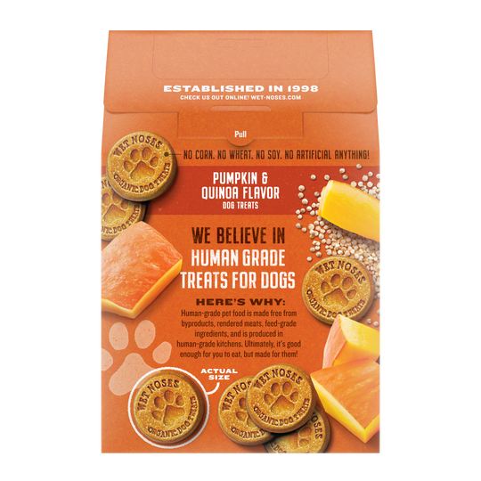 Pumpkin & Quinoa Grain Free Original Treats 14oz – Wet Noses