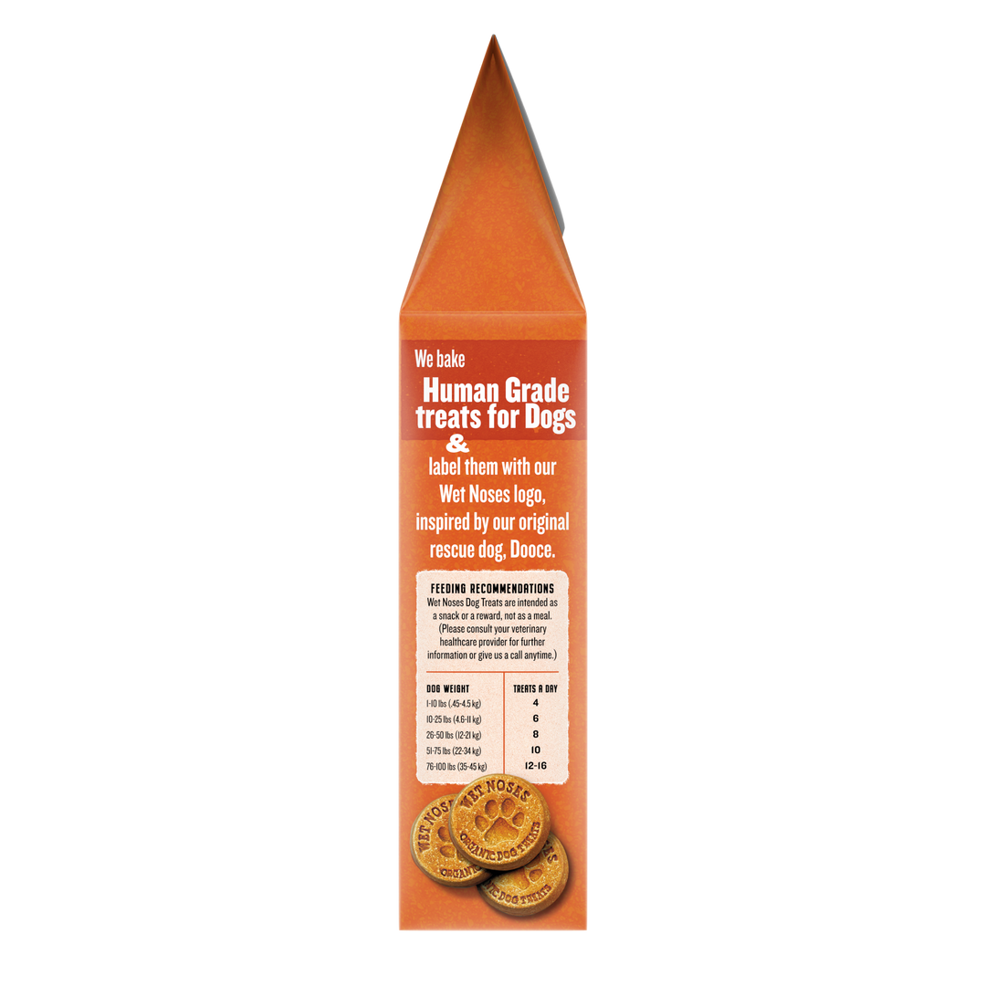 Pumpkin & Quinoa Grain Free Original Treats 14oz – Wet Noses