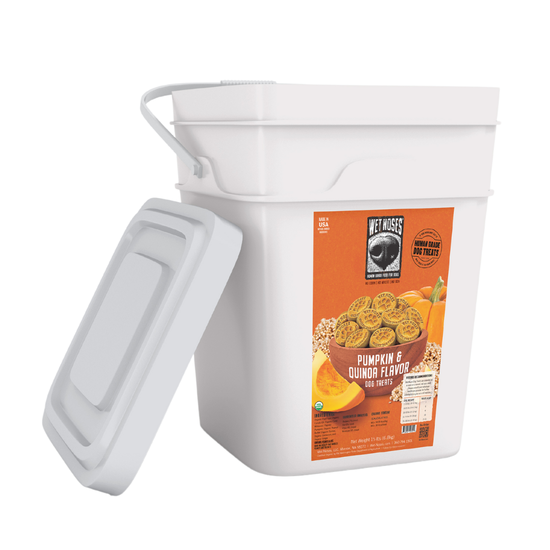 Pumpkin & Quinoa Bulk Bucket Treats 15lb
