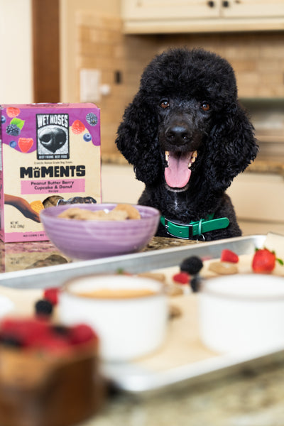 Moments Peanut Butter Berry Treats 14oz