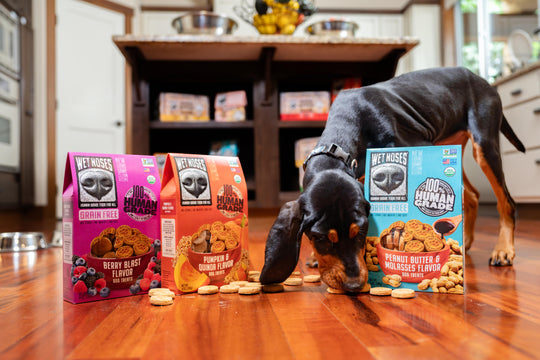 Berry Blast Grain Free Original Treats 14oz – Wet Noses