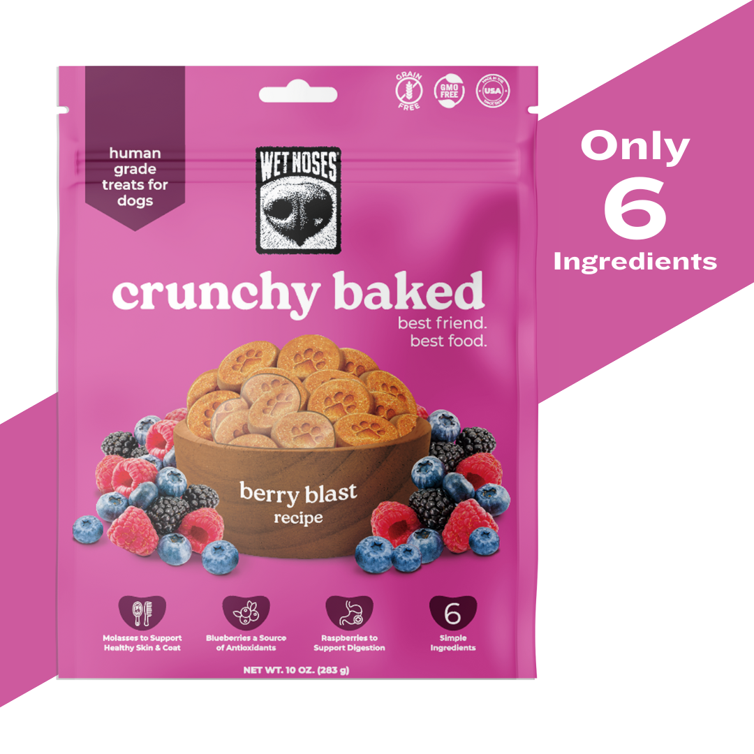 Berry Blast Crunchy Baked Treats 10oz