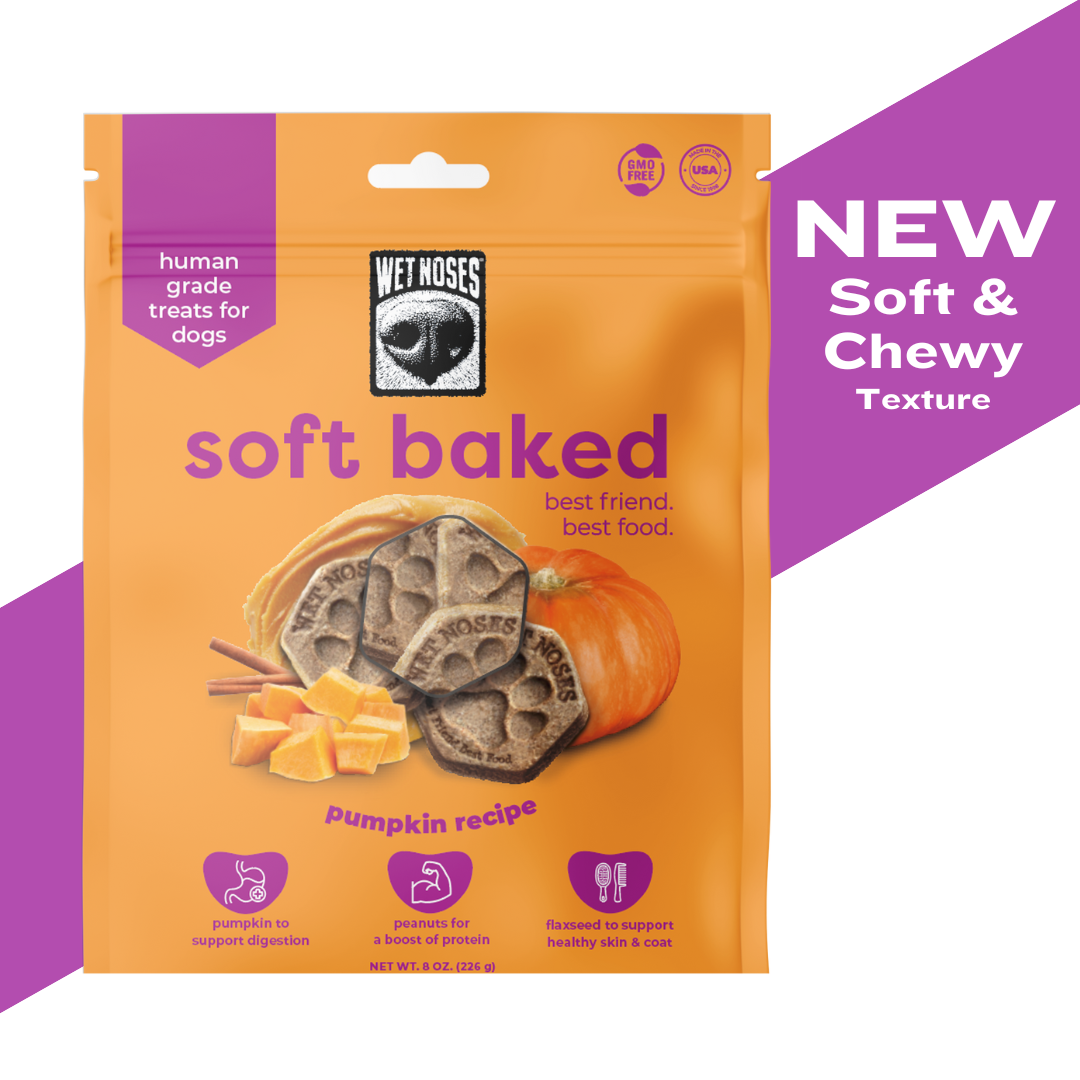 Pumpkin Soft Baked Treats 8oz