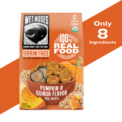 Pumpkin & Quinoa Grain Free Original Treats 14oz