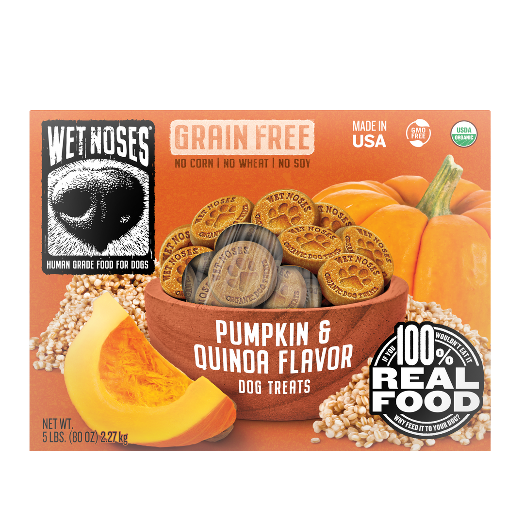 Pumpkin & Quinoa Grain Free Box Treats 5lbs – Wet Noses