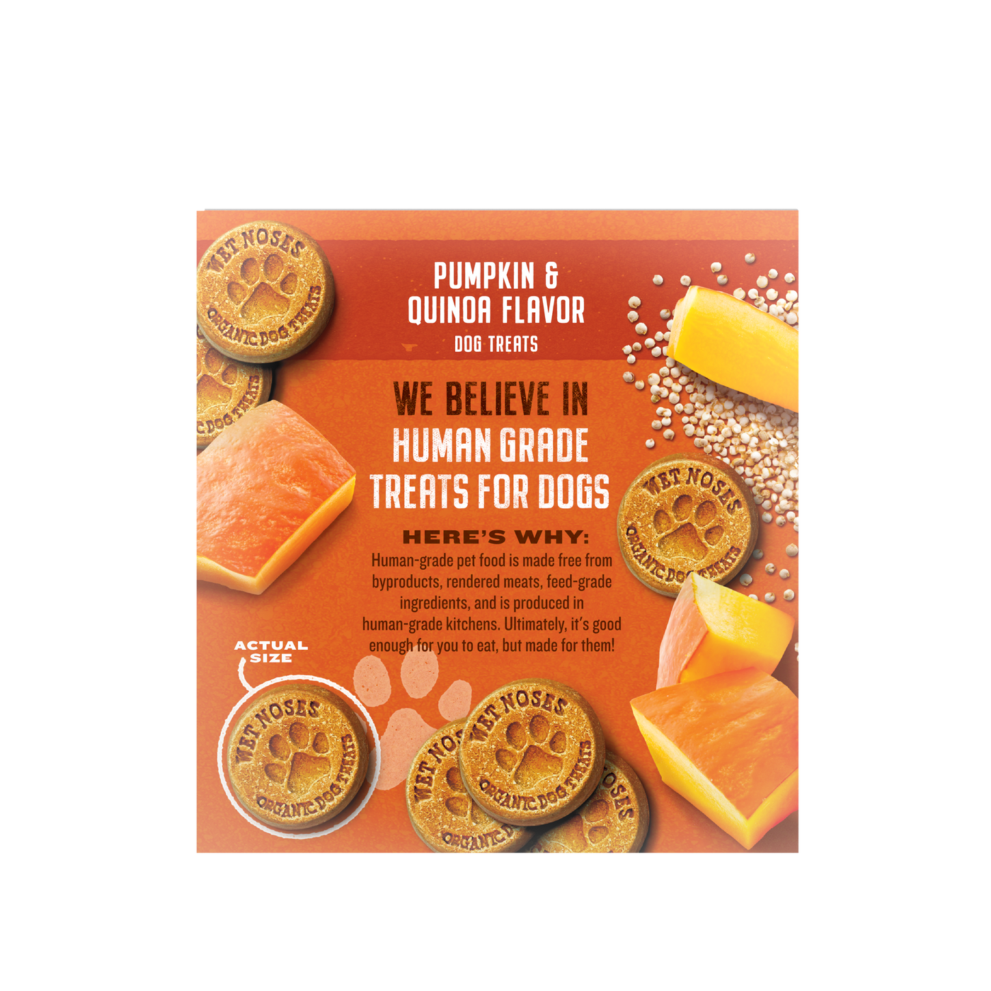 Pumpkin & Quinoa Grain Free Box Treats 5lbs