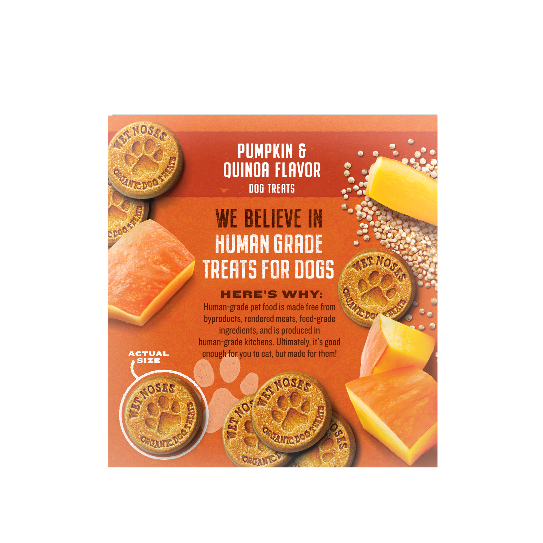 Pumpkin & Quinoa Grain Free Box Treats 5lbs – Wet Noses Pumpkin & Quinoa Grain Free Box Treats 5lbs – Wet Noses
