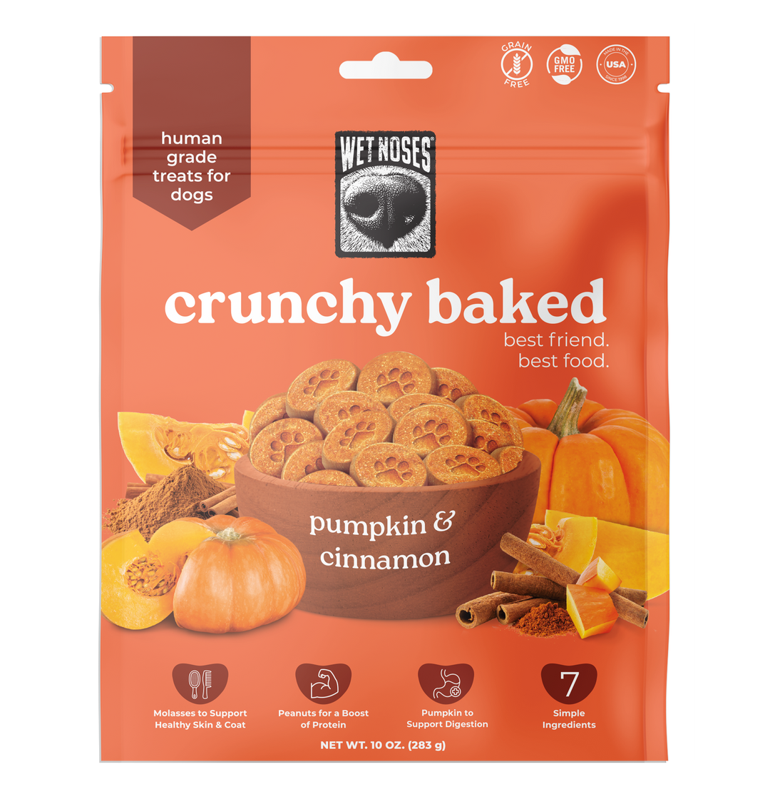 ドッグフード kinokino Pumpkin Cinnamon Crunchy Baked Treats 10oz – Wet Noses