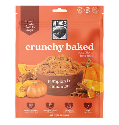 Pumpkin Cinnamon Crunchy Baked Treats 10oz