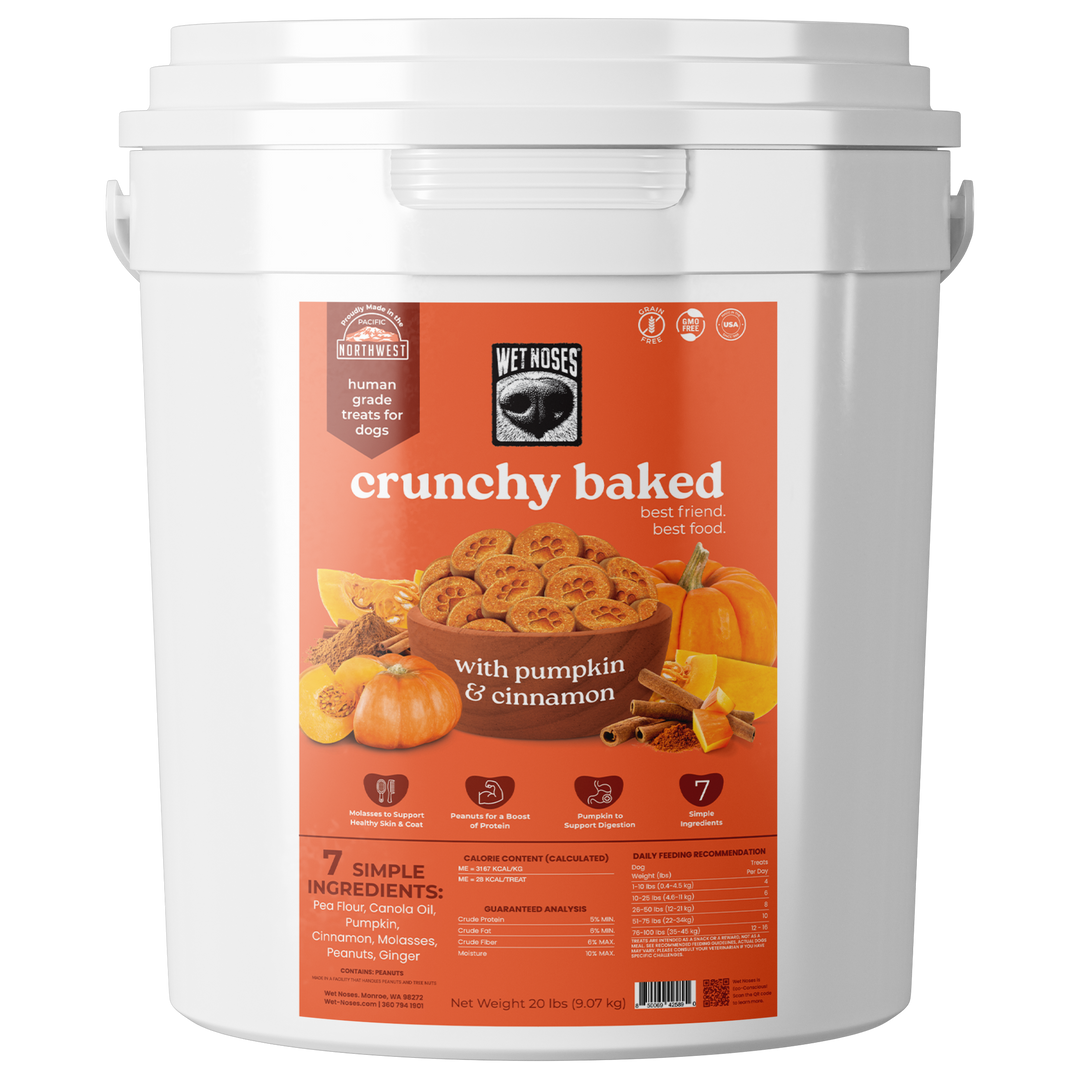 ドッグフード Boo. Pumpkin & Cinnamon Grain Free Bulk Bucket Treats 20lbs – Wet Noses